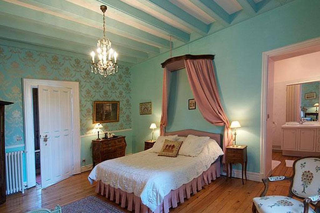Chateau De Naze Vivy-Saumur Номер фото